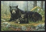 Hautman Brothers Black Bear and Cub Rug