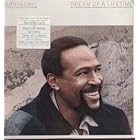 Dream of a Lifetime by Marvin Gaye