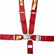 Driver Restraints 3 in. Complete Set Latch 5 Point Red