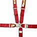 Driver Restraints 3 in. Complete Set Latch 5 Point Red