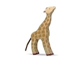 Small Eating Giraffe