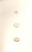 3 H/C Meyer Bird Eggs 1842 Tree Creeper Hoopoe Cuckoo