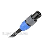 Monster Cable SP1000 Speaker Cable Speakon, 3 Foot