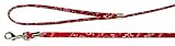 Red Western Bandanna Fancy Dog Collar 4' Lead