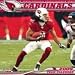 Search : Arizona Cardinals 2009  Wall Calendar