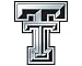 Texas Tech Red Raiders Silver Auto Emblem