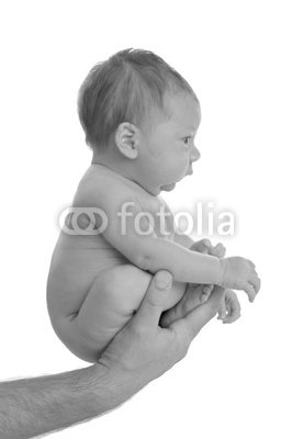 Wallmonkeys Peel and Stick Wall Decals - Nouveau Né Assis Au Creux D'une Main - 48