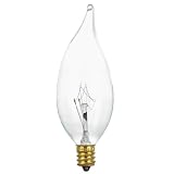 30 Pack 25 Watt Light Bulb