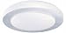 Carpi Collection 1 Light 15" Brushed Aluminum Ceiling Light 90448A