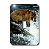 Review 3dRose LLC  / Wild animals - Brown Bear Fishing - Light Switch Covers - single toggle switch