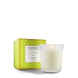 Caldrea Candle, Ginger Pomelo, 8.1-Ounces