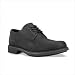 Timberland Men's Metro Plain Toe Oxford Black Waterproof Shoe