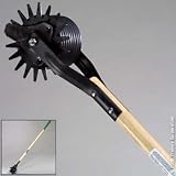 AMES TRUE TEMPER CDB2GT 2WHL LWN Edger