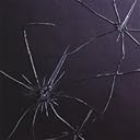 静脈（初回限定盤B）