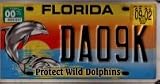 Florida Protect Wild Dolphin License Plate