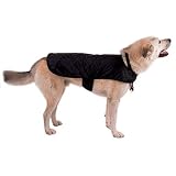 Canine Cover-UP L