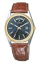 Pulsar Men's Watch #PVM016S
