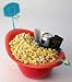 Wild Fling Popcorn Bowl