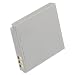 STK's Canon NB-4L Battery Pack - 1400 mAh for Canon Cannon Powershot SD1400 IS, ELPH 300 HS, SD1400IS, SD750, ELPH 100 HS, SD1000, SD1100 IS, SD600, SD780, SD940 IS, SD630, SD400, SD940IS, SD940IS, SD960 IS, SD1100IS, ELPH 310 HS, SD300, TX1, SD200, NB4L, SD960IS, SD40, SD30, SD430