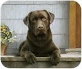 Chocolate Labrador On Porch Lab Dog Puppy Mouse Pad MousePad