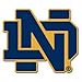 Wincraft NCAA Notre Dame Collector Pin Jewelry Card