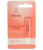31Bgo9Qkf8L. SL160  Weleda Soin des lèvres Everon riche en cires naturelles 4gr