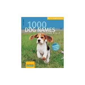 Barrons Books What Dog