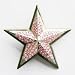 Star Pink Diamonds Belt Buckle