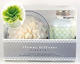 Flower Diffuser-�t�����[�@�f�B�t���[�U�[ �x���K���b�g(�J�����A-�O���[��)