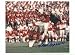 Gino Cappelletti New England Patriots Autographed 8