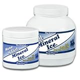 Mane n Tail Mineral Ice Pain Relieving Gel