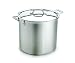 All-Clad Stainless 12-Quart Tall Stock Pot with Lid
