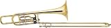 Bach 50B2 Series Professional Bass Trombone ( 50B2LO Large Bell Open Wrap ) - B000Y040RU