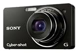 Sony DSC-WX1 Digitalkamera (10 Megapixel, 5-fach opt. Zoom, 6,9 cm (2,7 Zoll) Display, 24mm Weitwinkel, Dämmerungsmodus) schwarz