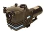 1 HP 3450RPM 230 Volts 2 Speed Inground Swimming Pool Pump # E152SP