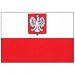 Republic of Poland Government Flag