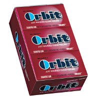 Childrens Toyshop  Gourmet Food : Orbit-Wrigley's Sugarfree Gum, 12/14ct Packs, Cinnamint
