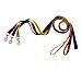 Sporting Goods : Metolius - Dog Leash by Metolius