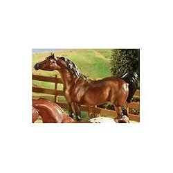 BREYER CLASSICS BAY ARABIAN