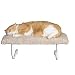 Cat Must Haves