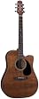 Takamine EF340SCGN Dreadnought C/A Acoustic Electric Guitar w/Case