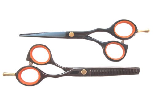 Duo Ciseaux de Coiffure BNT1