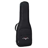 guitar case Fender Accesories 099 1612 006_130945 Custom Shop Reunion Blues Gig Bag Electronics guitar case