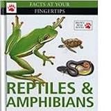 Reptiles & Amphibians