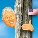 Outdoor Living : BILL CLINTON TREE HUGGER