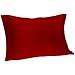 Spasilk Pure Silk Pillowcase, 100% Charmeuse Silk for Hair and Beauty, Hypoallergenic Pillowcase, Queen Sized, Burgundy