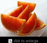 Cara Cara Pink Navel Orange Tree Semi Dwarf Five Gallon