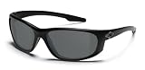 Smith Optics Chamber Tactical Sunglasses with Black Frame (Gray Lens)