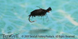 Black Deer Hair Beetle