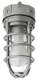 : Lithonia Lighting Vapor Tight Light Fixture (OVT 150I 120 M6)